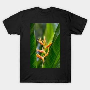 Tropical Heliconia Floral Photography T-Shirt